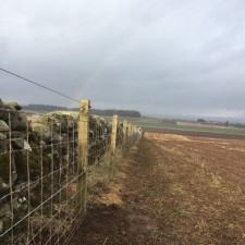 Fencing Supplies | Leading Fencing and Timber Manufacturers