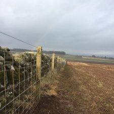 Fencing Supplies | Leading Fencing and Timber Manufacturers