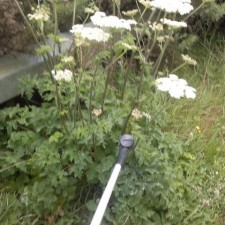 Weed Spraying | All Types of Weed Control