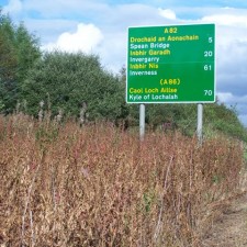 Weed Spraying Services Scotland | Perthshire, Dundee, Fife and Angus