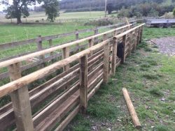 Knoxfield Estate Services | Fencing, Weed Spraying and Fencing Supplies