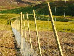 Knoxfield Estate Services | Fencing, Weed Spraying and Fencing Supplies
