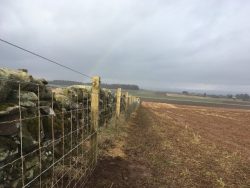 Knoxfield Estate Services | Fencing, Weed Spraying and Fencing Supplies
