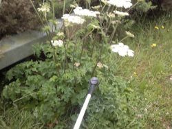 Knoxfield Estate Services | Fencing, Weed Spraying and Fencing Supplies