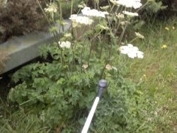 Knoxfield Estate Services | Fencing, Weed Spraying and Fencing Supplies
