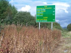 Knoxfield Estate Services | Fencing, Weed Spraying and Fencing Supplies